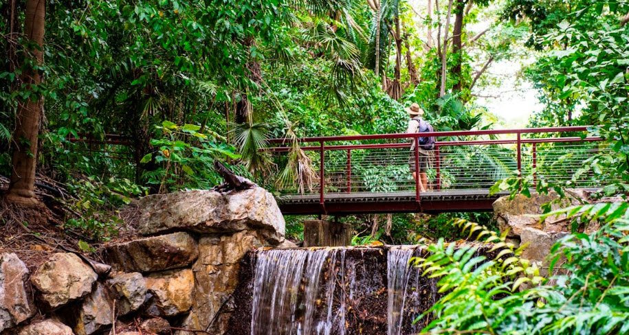  George Brown Darwin Botanic Gardens , Australia